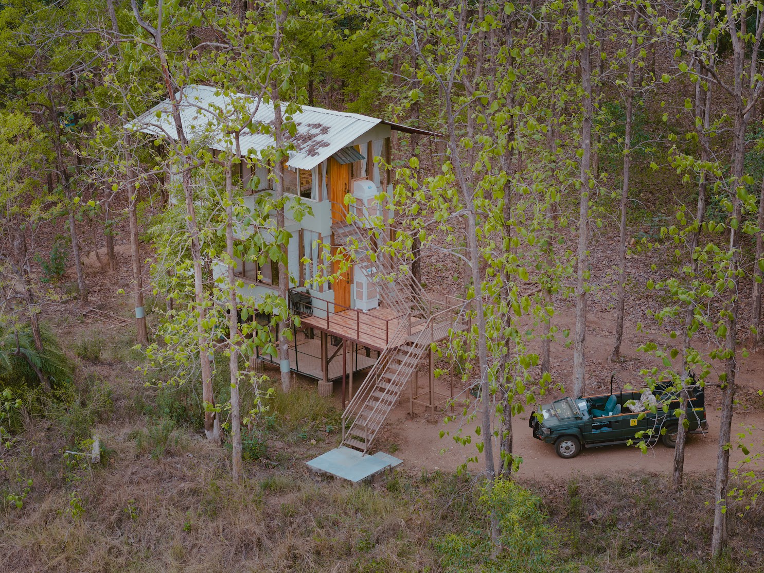 Escape to the Wild: The National Park Staycation Guide
