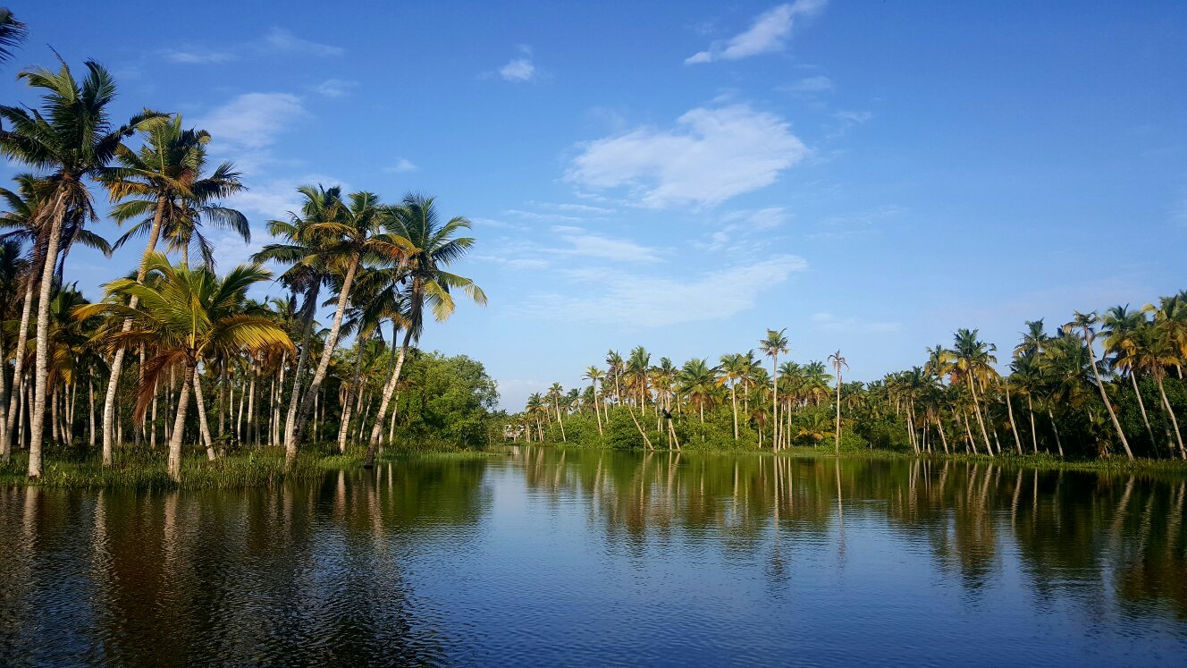 Discover the Serenity of Poovar Island, Kerala