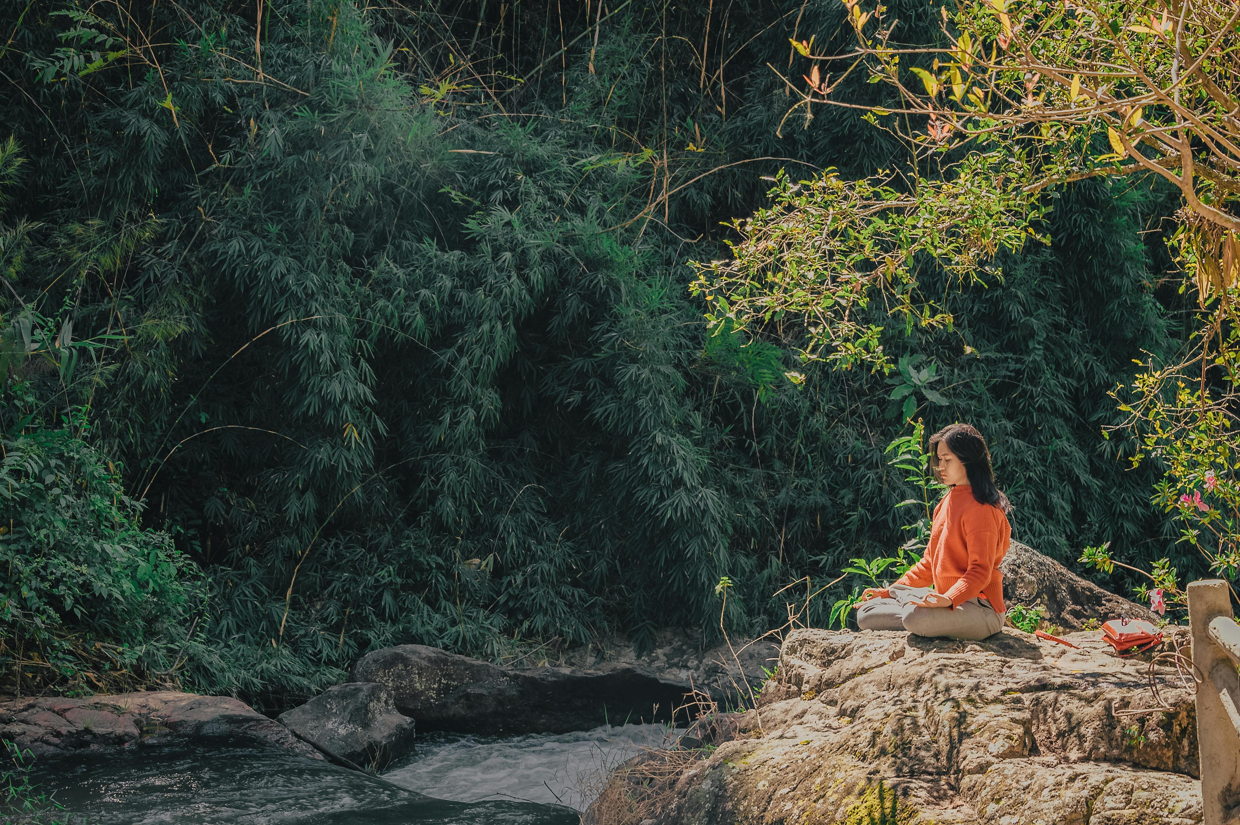 The Best Yoga Retreats in Rishikesh