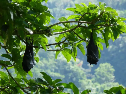 Puducherry: Ecology and Community Tour