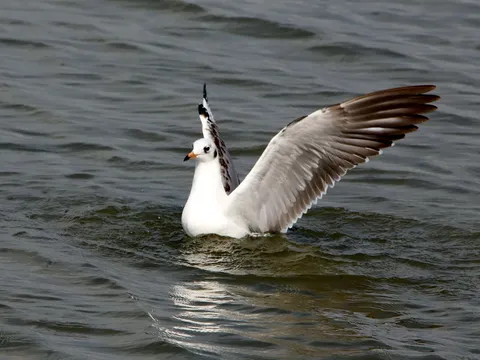 Puducherry: Ecology and Community Tour