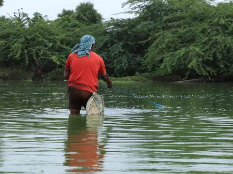 From Catch to Cuisine: Fisherfolk Life