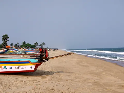 From Catch to Cuisine: Fisherfolk Life