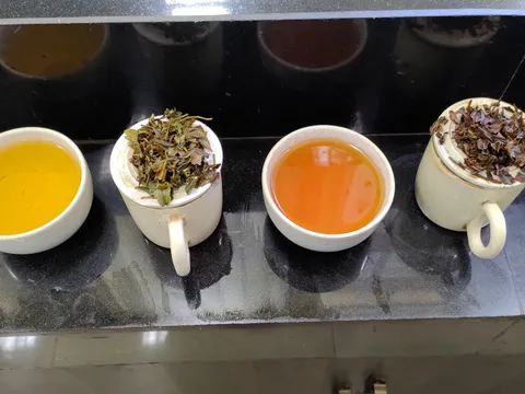 Tea Pluckers' Day