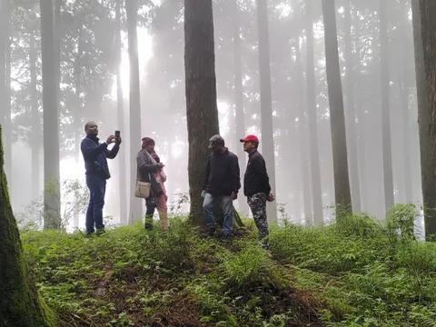 Darjeeling Forest Walk