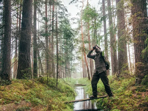 Himalayan Bird Watching Tour