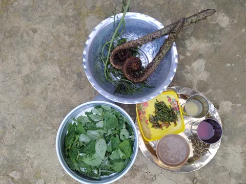 Darjeeling Village Experience