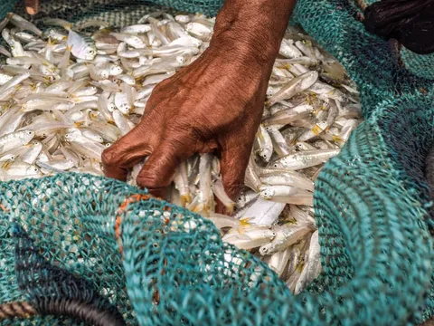 Seafood Cooking Experience with Locals