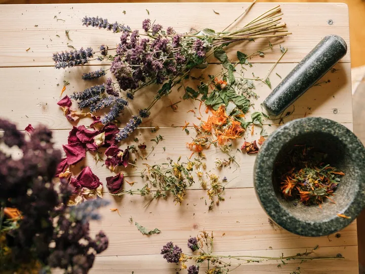 Roots and Remedies