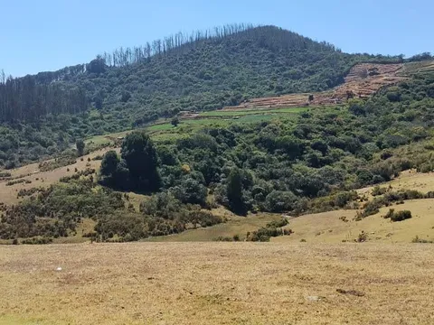 Ooty Tribal Nature Walk