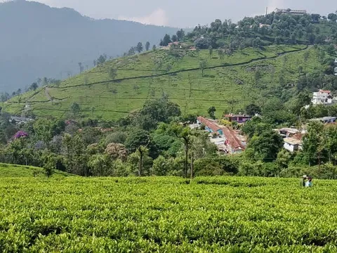 Ooty Tribal Nature Walk