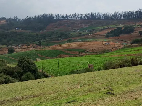 Ooty Tribal Nature Walk