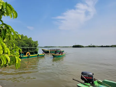 Pichavaram Backwaters Canoe Experience