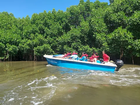 Pichavaram Backwaters Canoe Experience