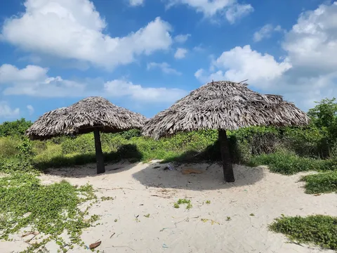 Kurusadai Island Exploration