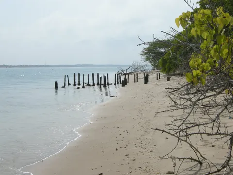 Kurusadai Island Exploration