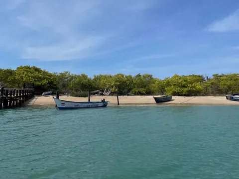 Kurusadai Island Exploration