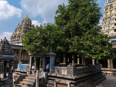 Kanchipuram Heritage and Silk Tour