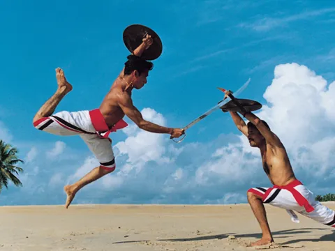 Kalaripayattu Performance