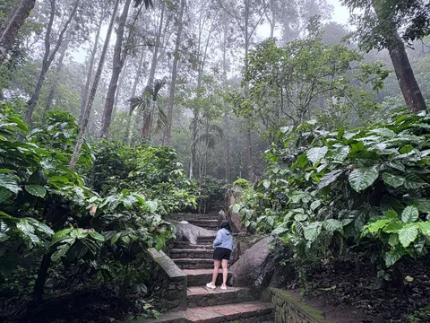 Edakkal Caves Trek and Ancient Rock Art Tour