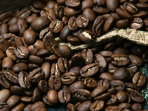 Coffee and Pepper Estate Walk