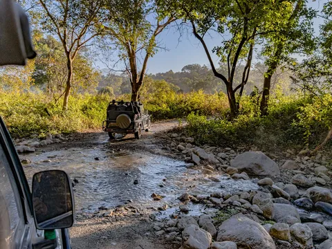 Wayanad Wildlife Sanctuary Jeep Safari