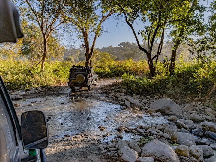 Wayanad Wildlife Sanctuary Jeep Safari