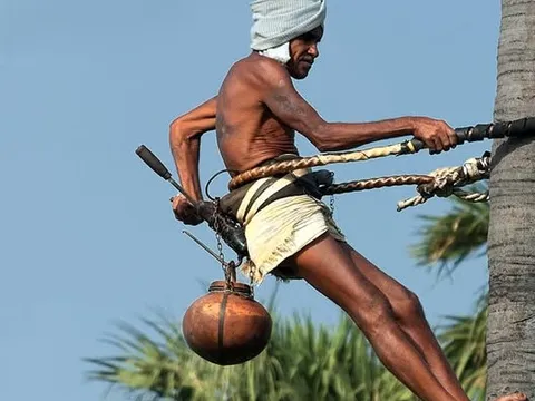 Village Life on a Shikkara Boat