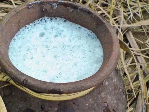 Village Life on a Shikkara Boat