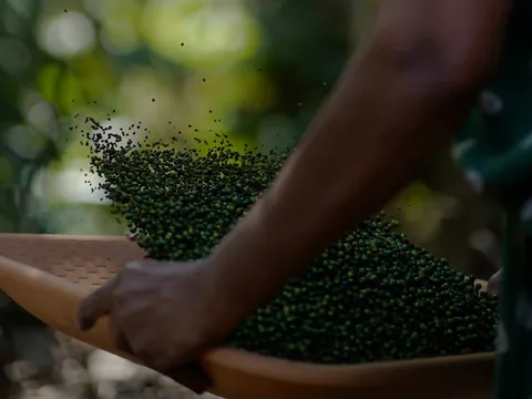 Spice Garden Tour