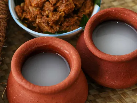 Village Walk and Toddy Tapping Demo