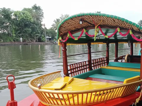 Birdwatching in Kumarakom on a Shikara Boat