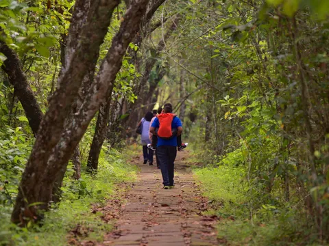Birdwatching in Kumarakom on a Shikara Boat