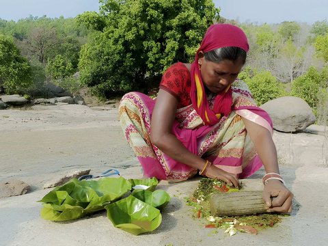 Forest Food Culinary Experience in Jashpur