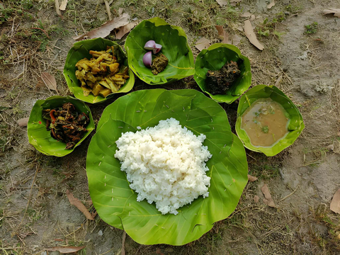 Forest Food Culinary Experience in Jashpur