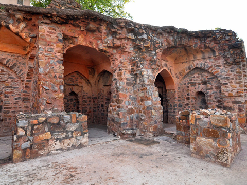 Djinns of Feroz Shah Kotla