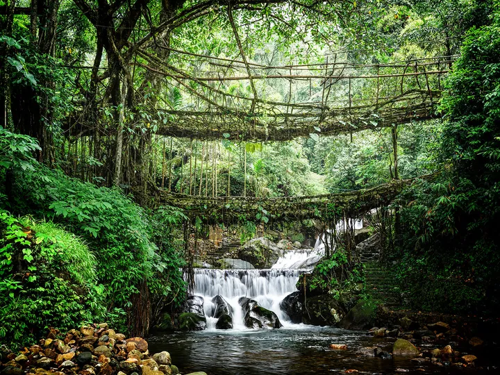 Meghalaya: Bridges, Brooks and Hidden Nooks