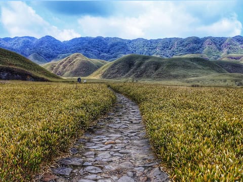 Explore Nagaland: Dzukou Valley, Khonoma, and Kohima