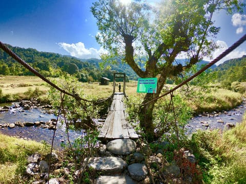 Explore Nagaland: Dzukou Valley, Khonoma, and Kohima