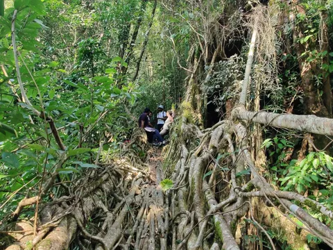 Meghalaya: Ancient Trails and Hidden Caves