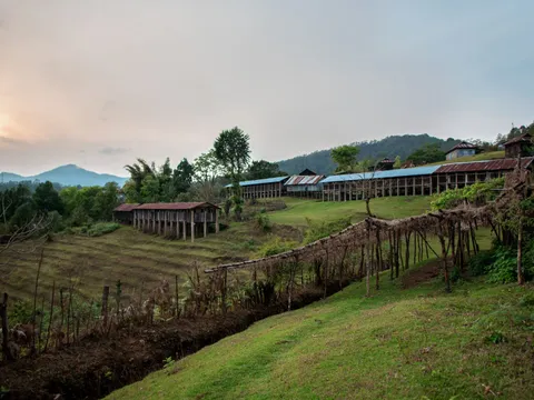 Nagaland Hornbill Festival Tour: Khonoma, Dzukou Valley, Kohima
