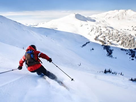 Serene Mountain Escapes