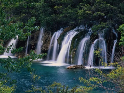 Enchanting Uttarakhand Journey