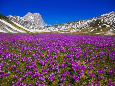 Paradise of Kashmir