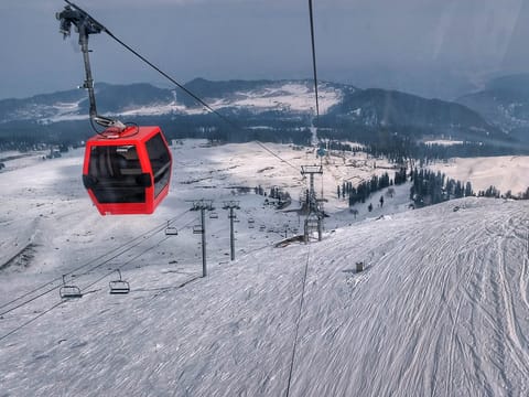 Paradise of Kashmir