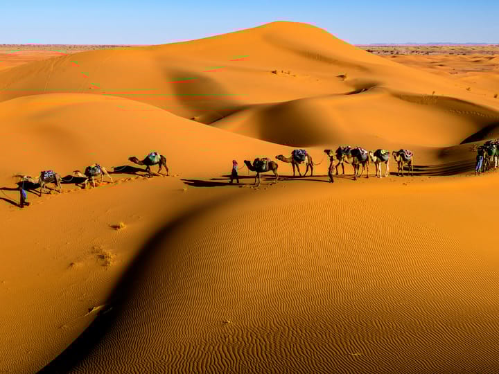 Golden Trails of Rajasthan
