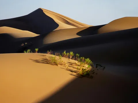 Rajasthan's Forts, Lakes and Desert Charm