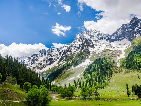 Kashmir: Paradise Unveiled - 5N/6D days holiday package