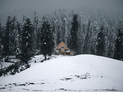 Shades of Kashmir