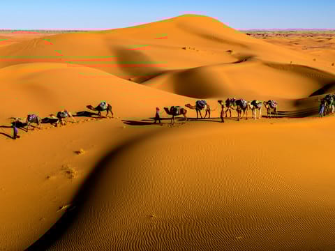 Rajasthan – Land of Royalty and Heritage